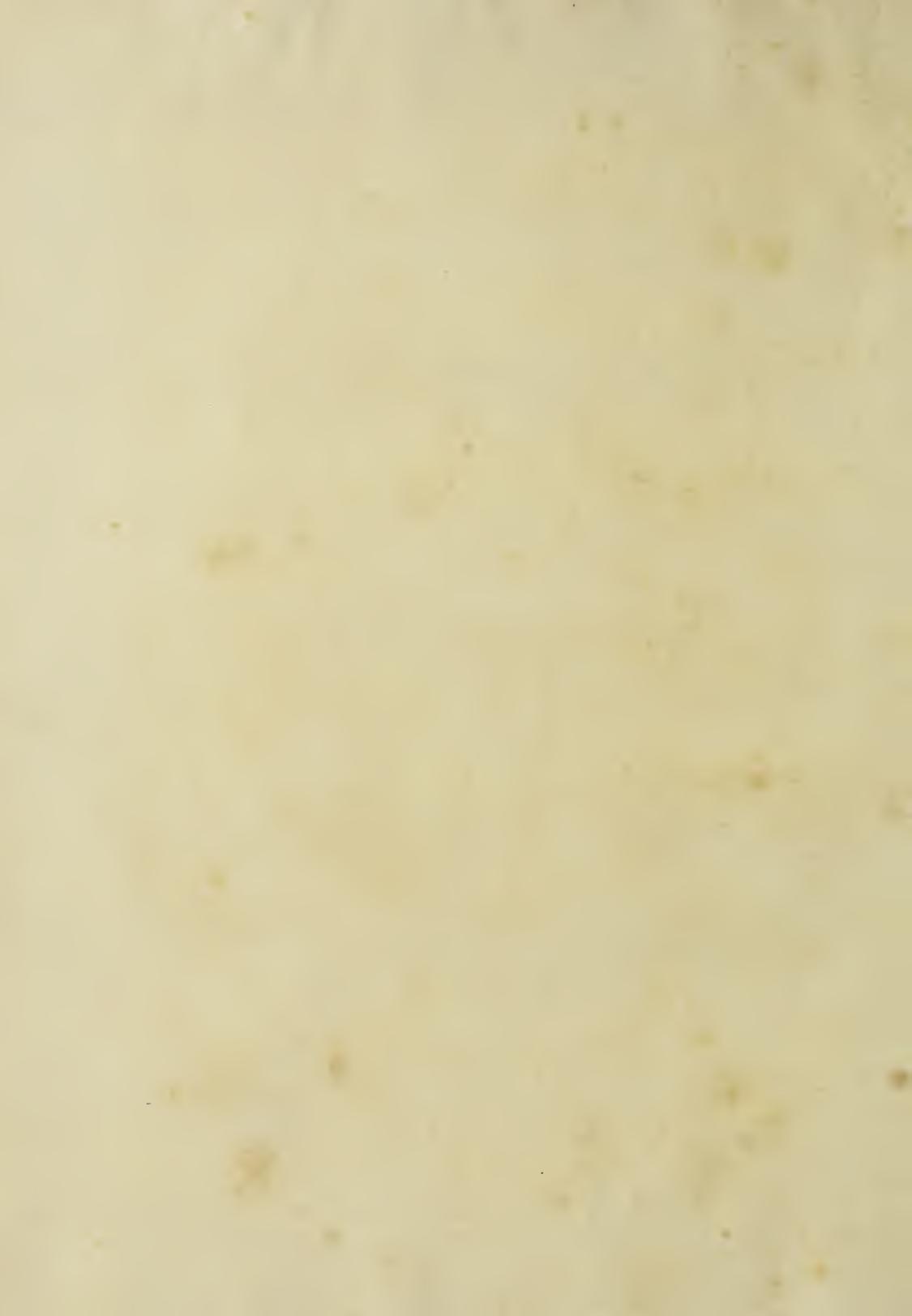 Image of page -3